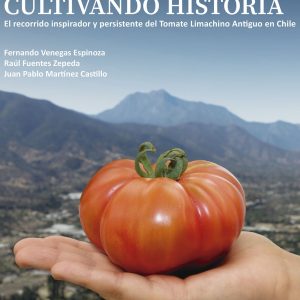 Cultivando historia. El recorrido inspirador y persistente del Tomate Limachino Antiguo en Chile