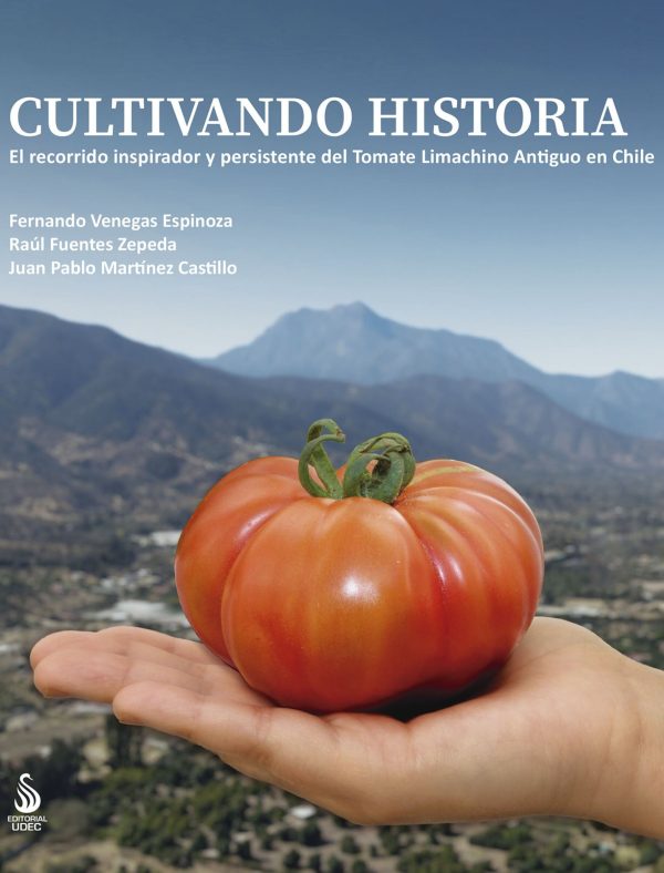 Cultivando historia. El recorrido inspirador y persistente del Tomate Limachino Antiguo en Chile